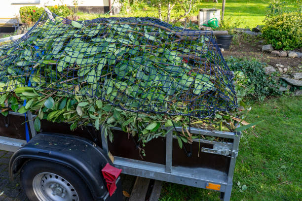 Best Shed Removal  in Reading, MI